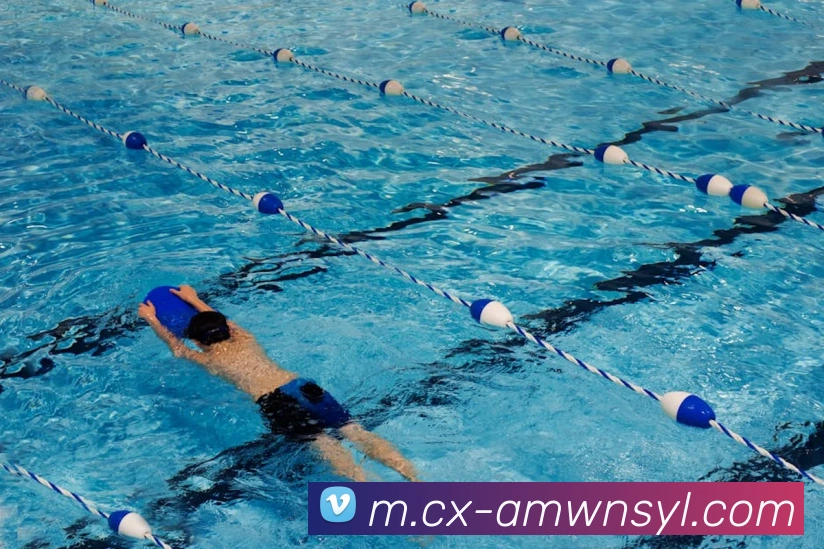 威尼斯人线上娱乐平台生态图