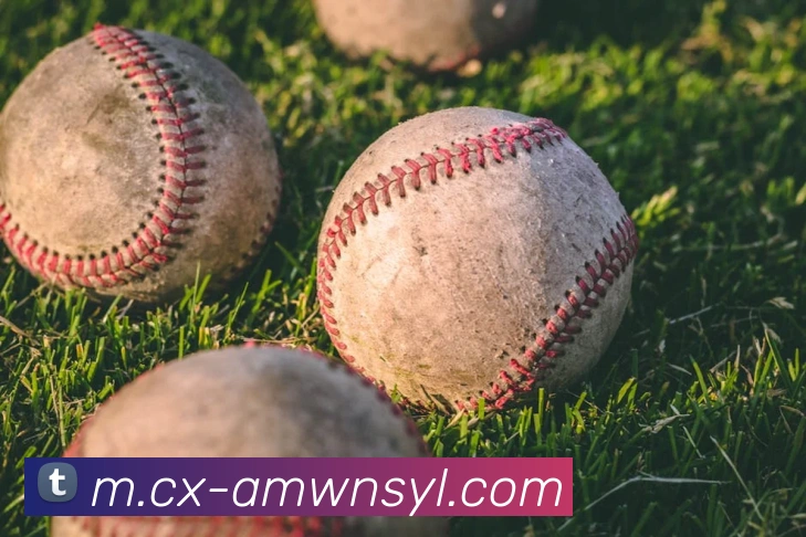 威尼斯人线上娱乐全站App 威尼斯人线上娱乐全站App